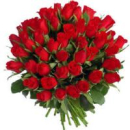 51 long stem roses (any color)
